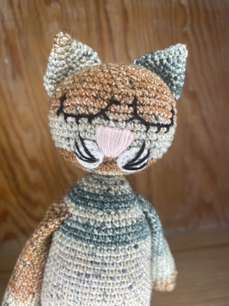 Katt (12)
