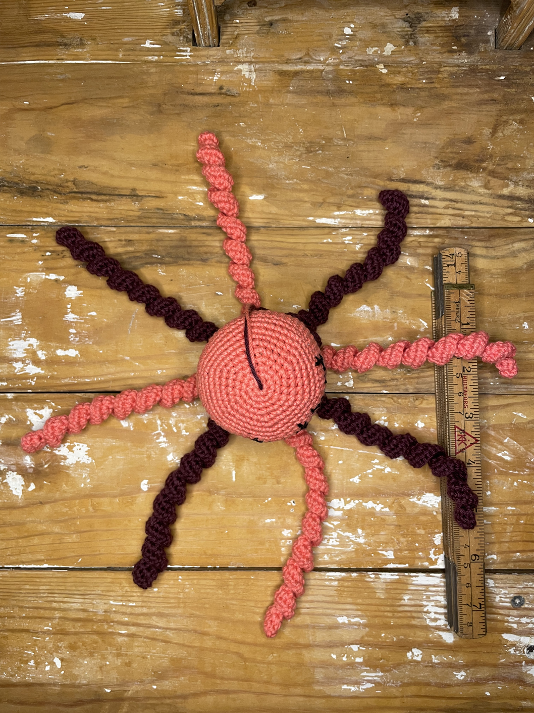 Bläckfisk (15) - Bild 3