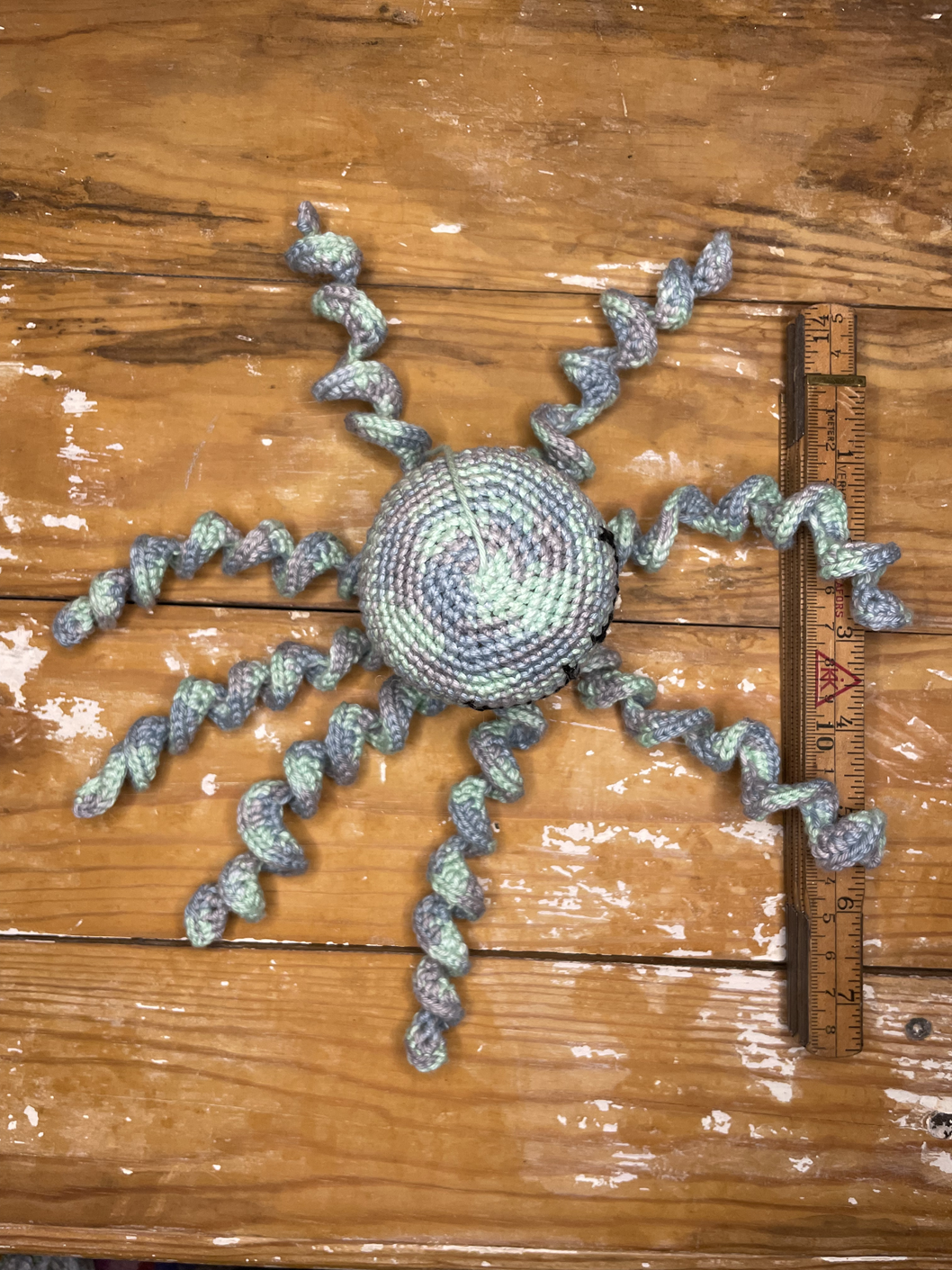 Bläckfisk (19) - Bild 3